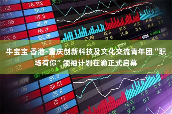 牛宝宝 香港-重庆创新科技及文化交流青年团“职场有你”领袖计划在渝正式启幕